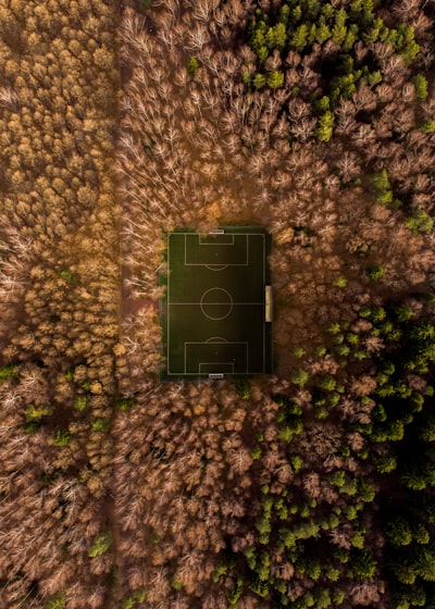 الدوري الإنجليزي تشامبيونشيبالبطولة التي تصنع النجوم